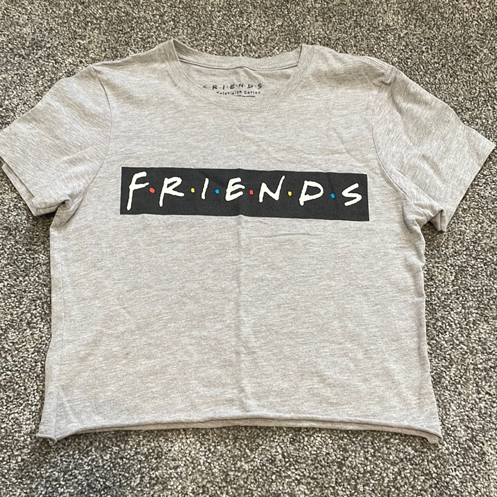 Grey friends crop top